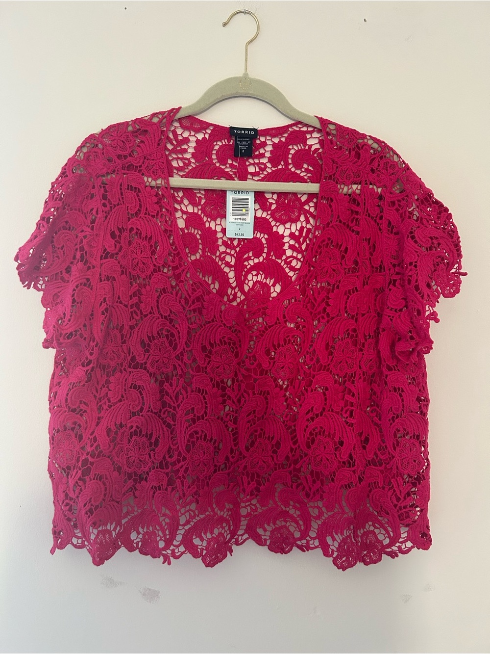 Torrid Size 2 Raspberry Lace V-Neck Top